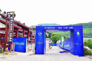 走，采茶去！第五屆“巴中云頂”茶文化旅游節明日盛大啟幕